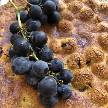 R&b Il Viavai Bed and Breakfast 3*